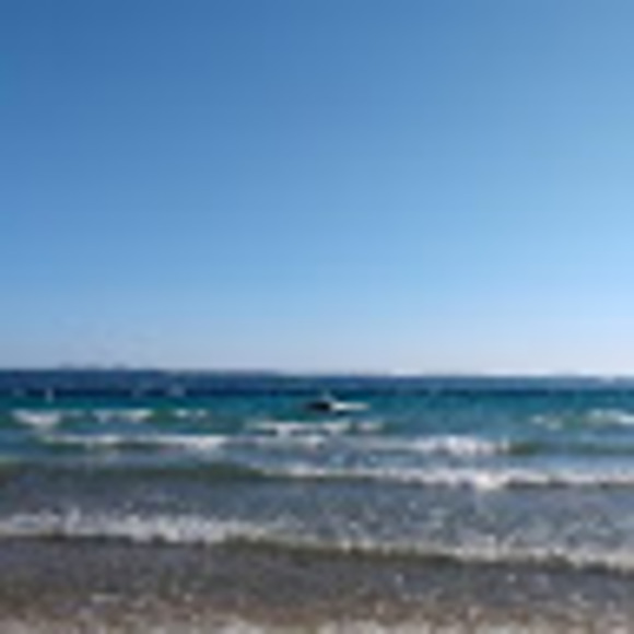 Meet your Posher, Jacob - Picture 1 of 1